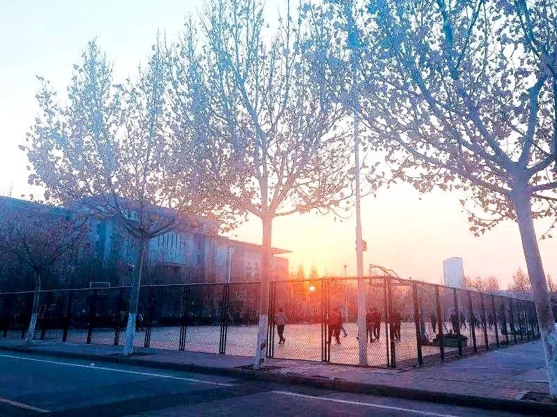 天津商业大学综合排名,天津商业大学真实排名