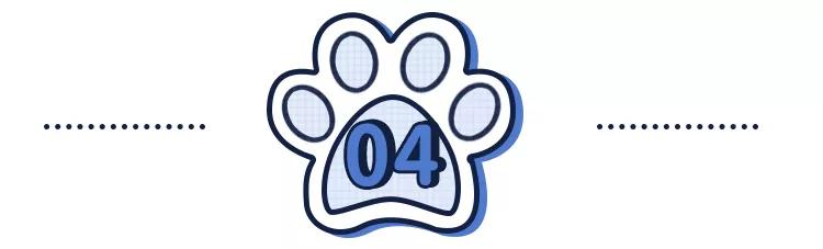 猫狗常用药品大全,猫狗必备药