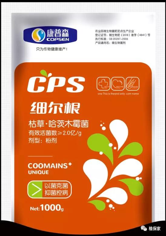 得了根腐病的土如何处理,得了根腐病需要打什么药