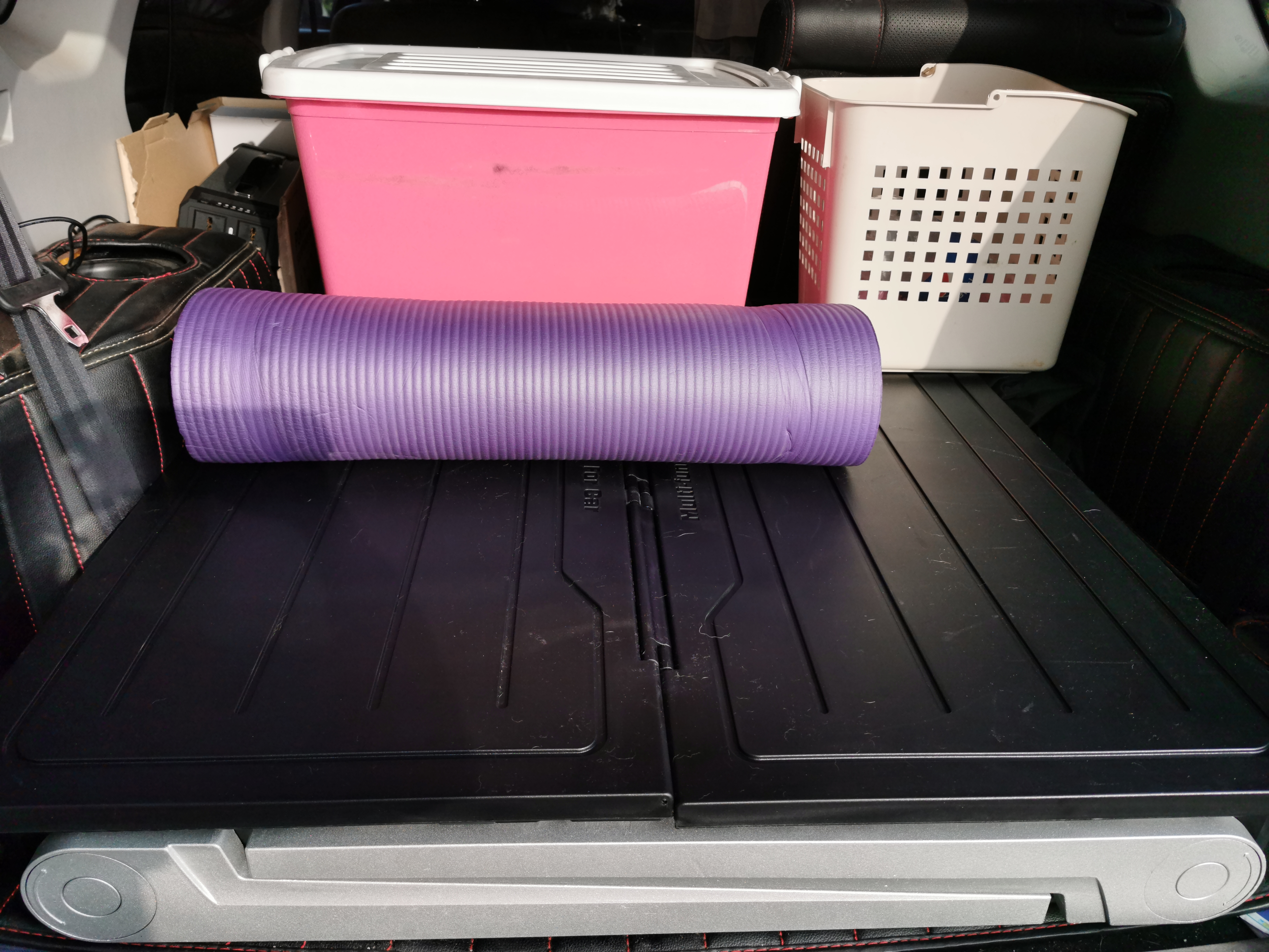 第一次带着狗狗去旅行,带狗狗去高原应该准备什么