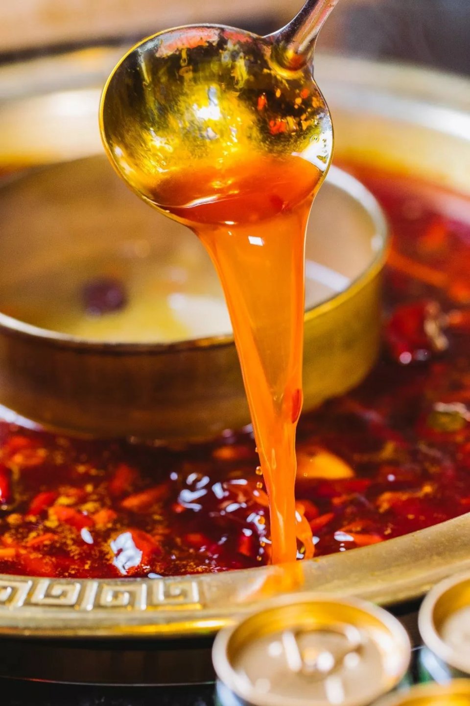 把菜园搬到餐厅,把菜园搬到家门口