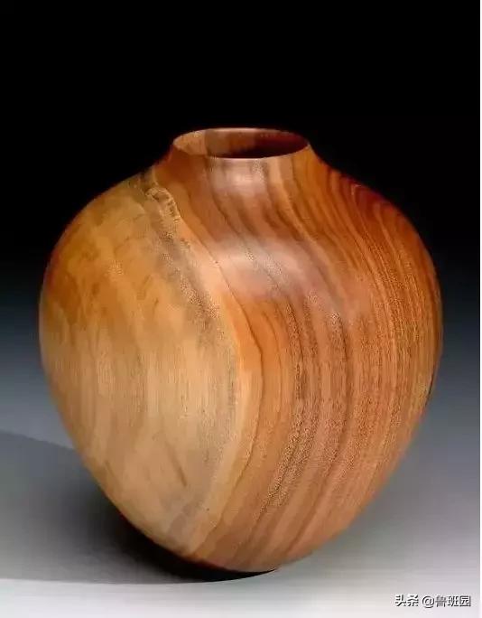 “高贵而奇异”，100多年方能成材的金*欢合**木是怎样一种存在？