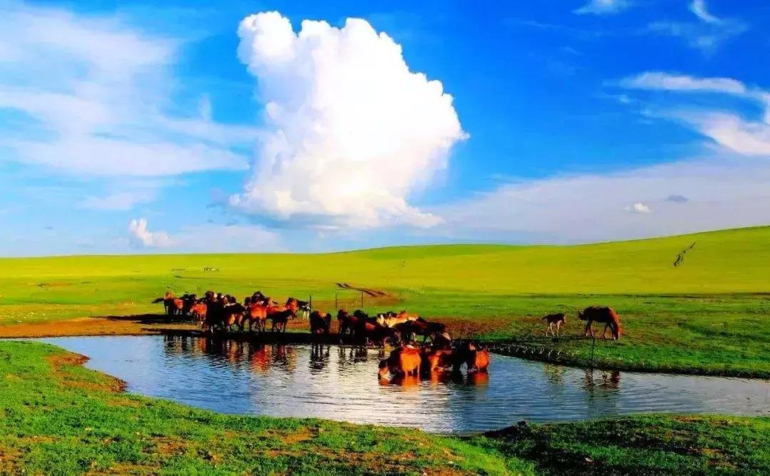 赤峰旅游与美食攻略大全,内蒙古赤峰旅游攻略自由行