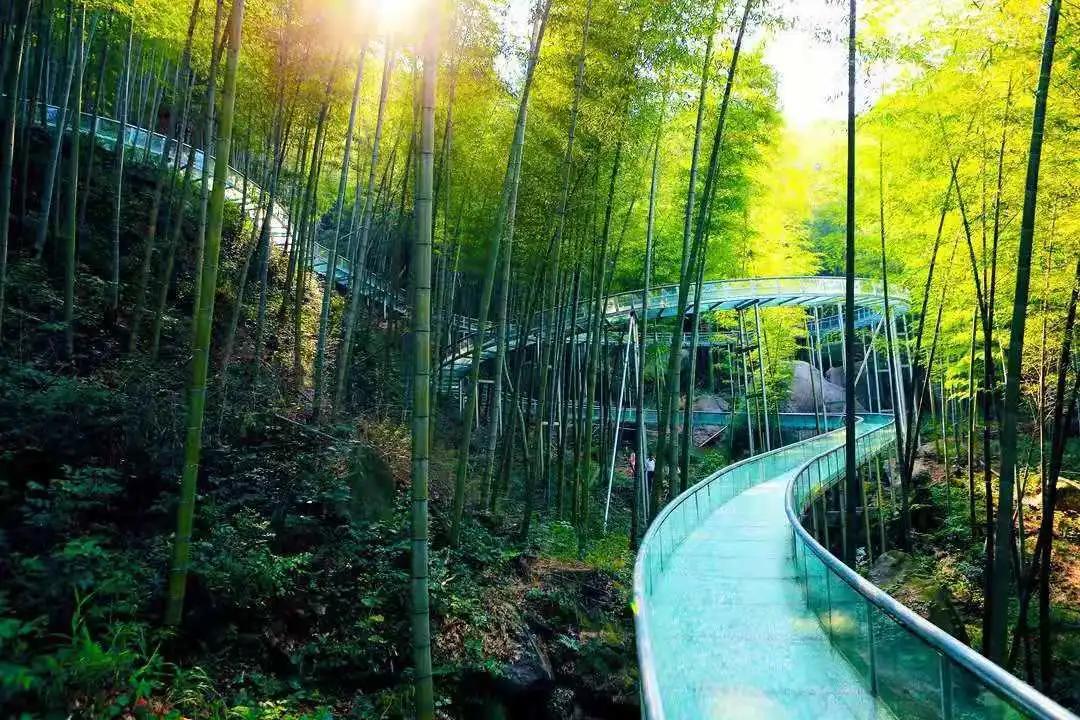 梅岭太阳谷就是大峡谷吗,梅岭太阳谷风景区丛林穿越