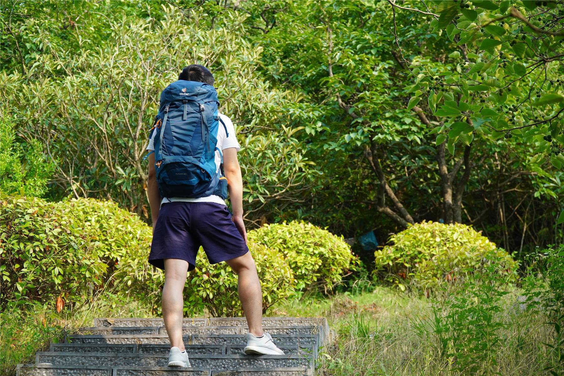 多特登山包背负系统怎么样,多特登山包背负系统介绍
