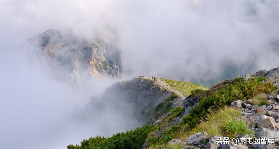 用户需求家电企业到底怎么满足,让家电企业和商家们捕捉用户需求