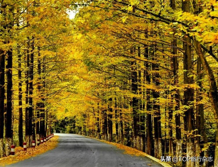 中国8条最惊艳的公路,中国19条最美乡村公路