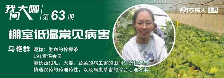 天气转凉疾病高发,天气转凉注意事项及解决方法