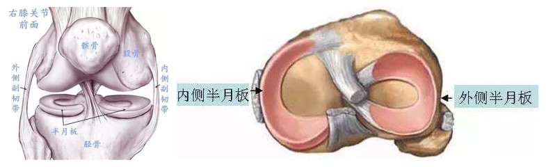 结束运动生涯,结束体育生涯