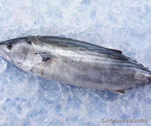 十种顶级海鲜排行榜,有钱人未必吃过的10种顶级海鲜