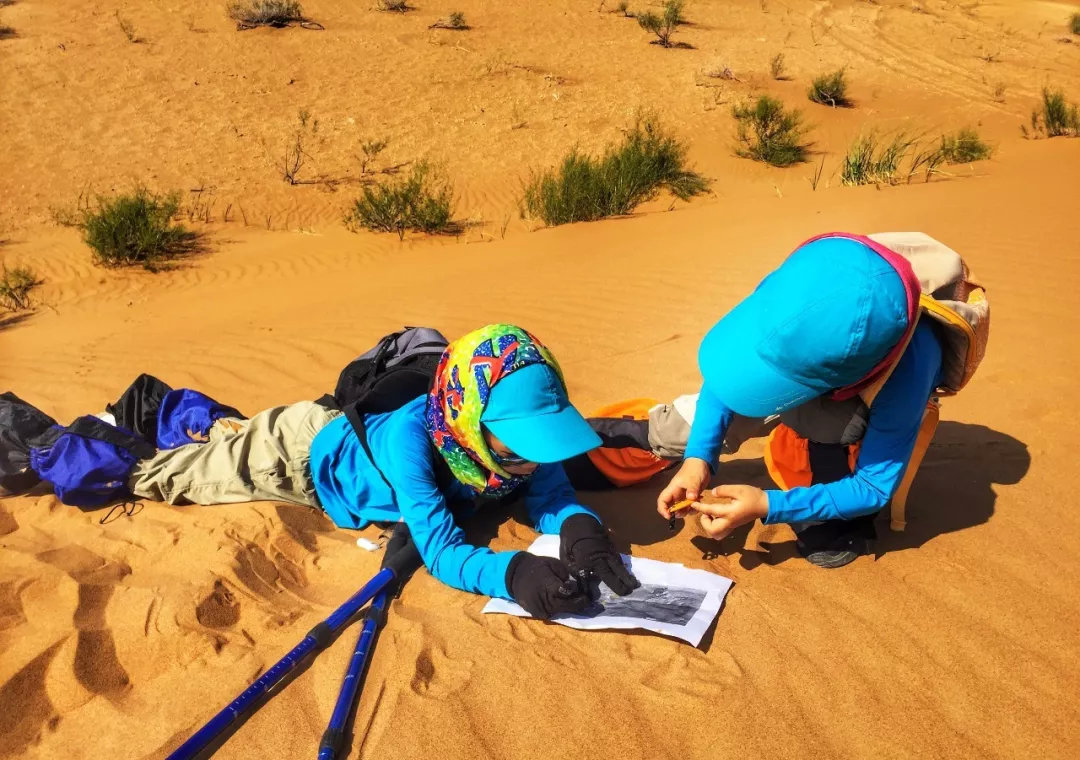 沙漠新手训练营,沙漠早期教育亲子课程