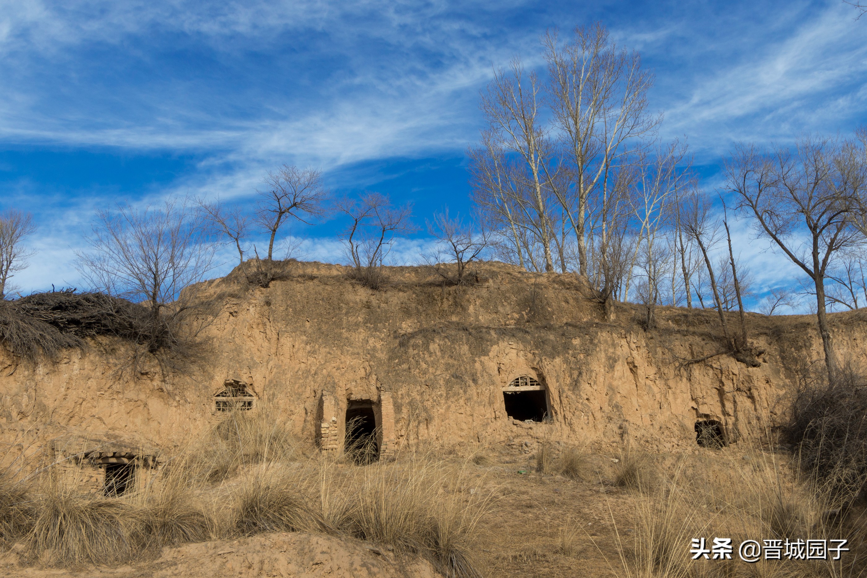 骄萌的毛驴洁白的羊群率真的老汉，看冬日的右玉古城阳光明媚