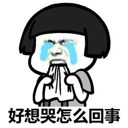 瑞萦传媒丨商家亏钱也要做直播带货的原因！