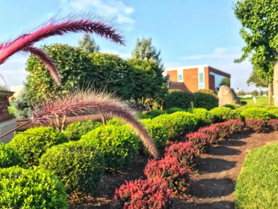 七所“村”里的美国大学，这是心动的感觉