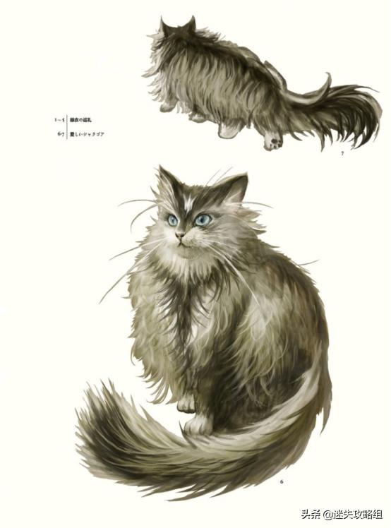 黑暗之魂2原罪学者流派推荐,黑暗之魂2原罪学者黯淡变质