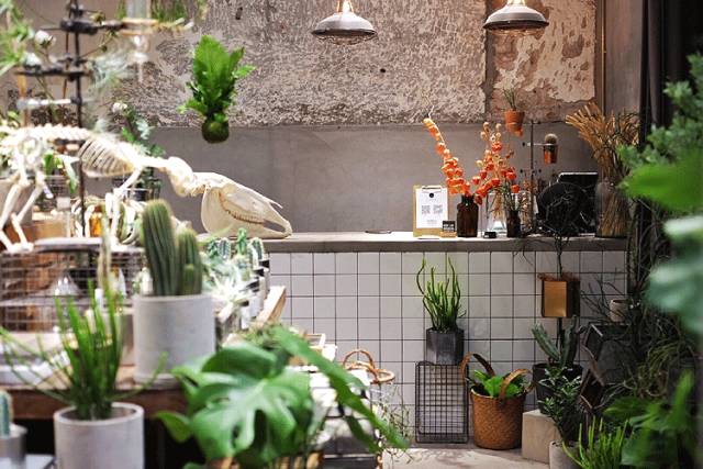 杨澜专访张艾嘉,杨澜采访张艾嘉