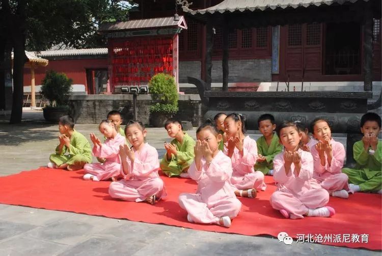 派尼幼儿园教育活动,派尼幼儿园毕业季