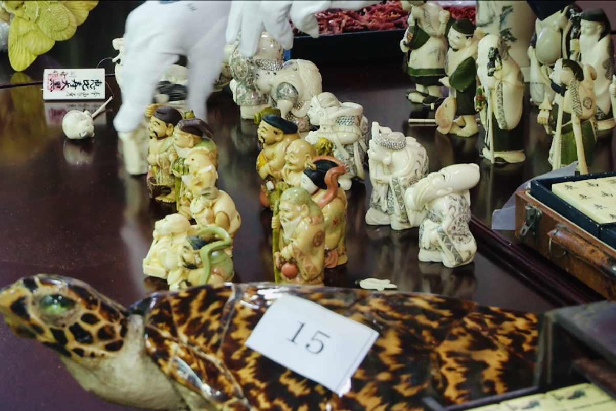 奇葩动物变形玩具,另类奇怪玩具