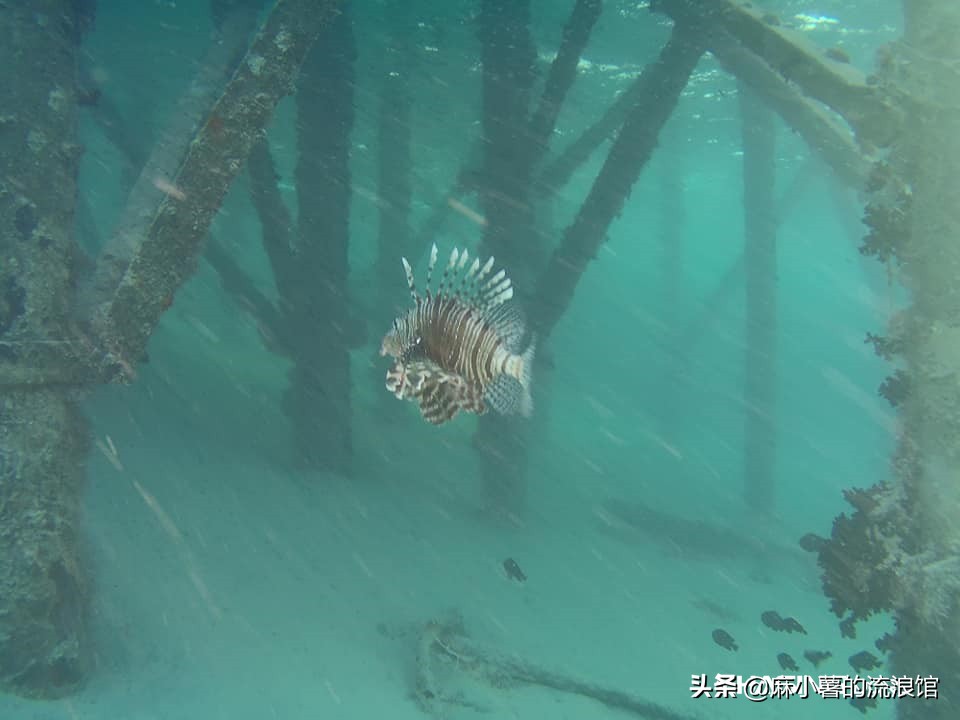 潜行多睿,潜行多睿水下无人机