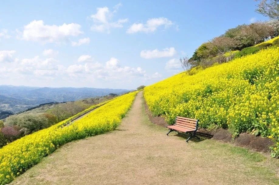 日本母亲农场项目,日本一个亲子农场年赚3亿