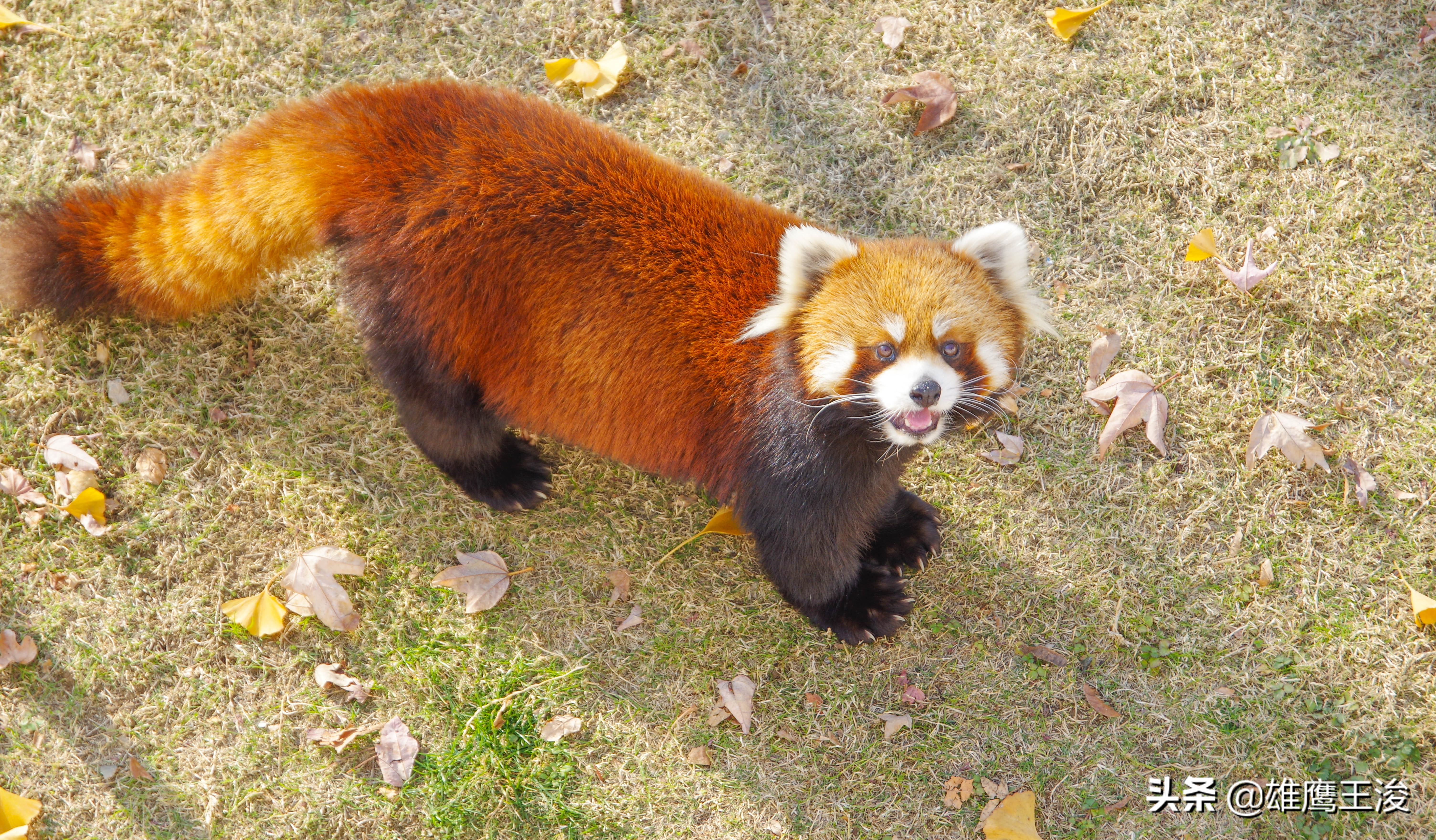 江苏最适合旅居的小城市,江苏度假城市推荐