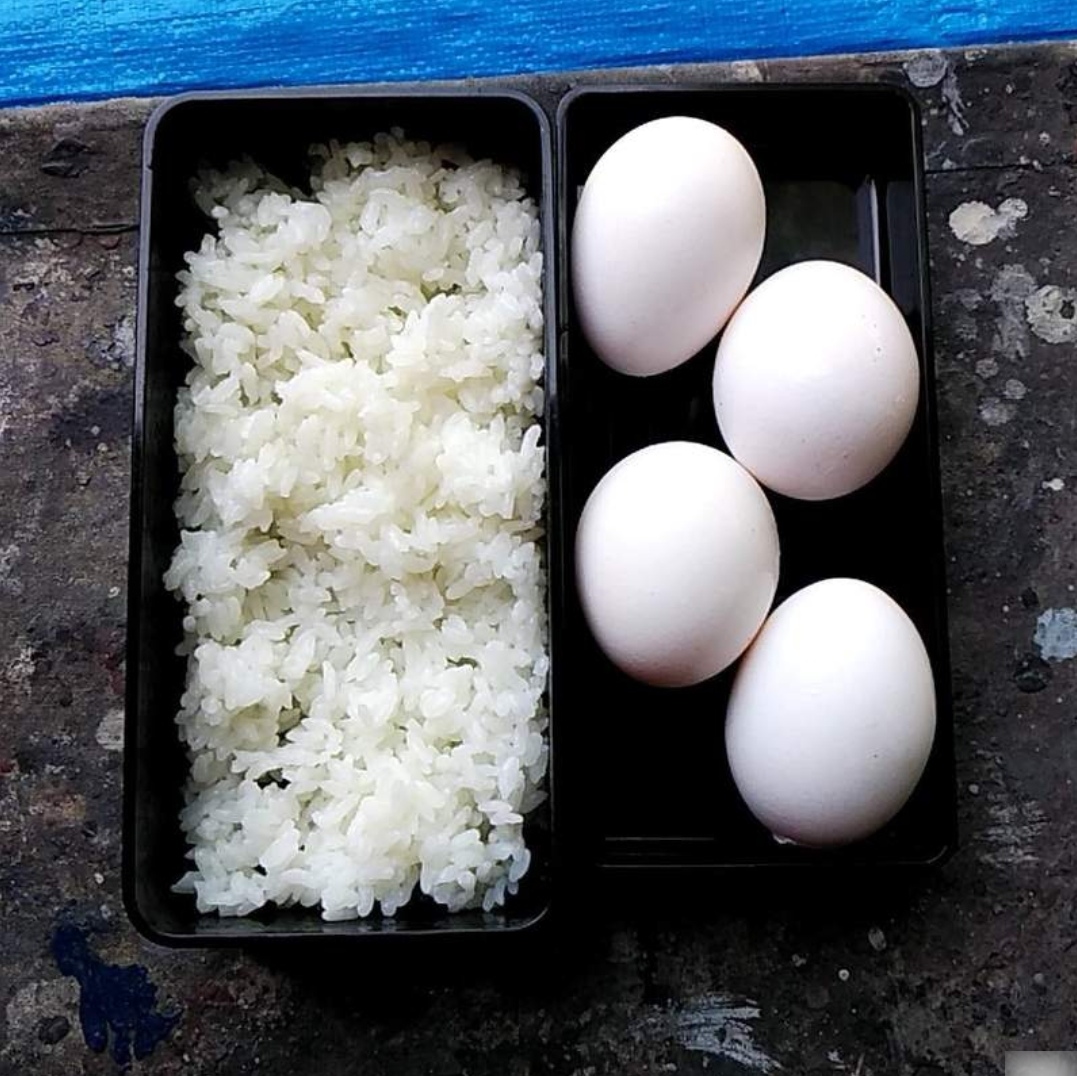 10分钟懒人便当,日本便当全过程