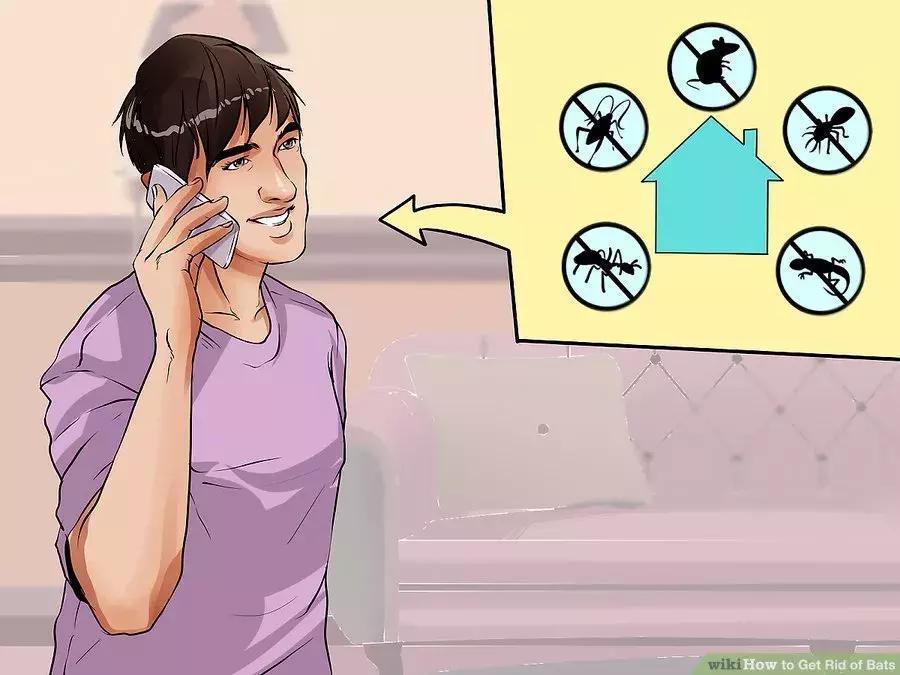 如果家里进蝙蝠怎么办,蝙蝠误入家中