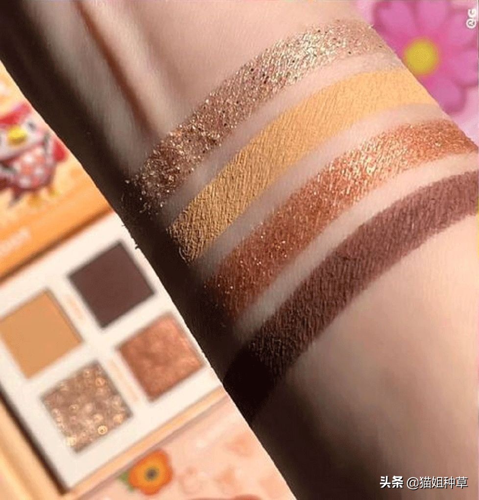 动森要出新作,动森会有新作么