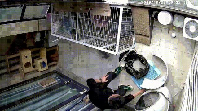 如何诱导猫咪使用智能猫砂盆,为什么智能猫砂盆不支持小猫使用