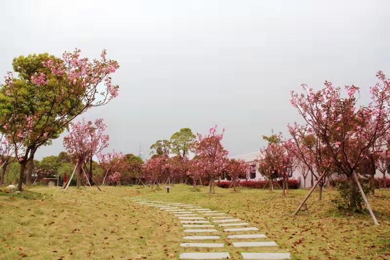 华中科技大学的自动化专业怎么样？就业和薪酬前景如何？