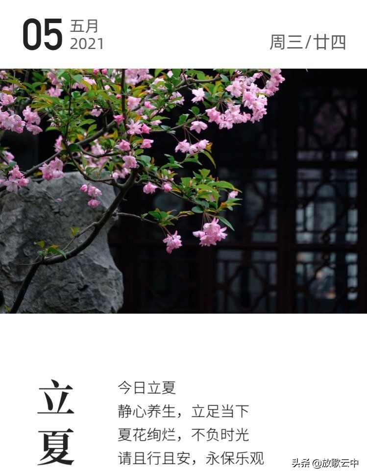 《立夏有约:万物疯长,灼灼灿灿》