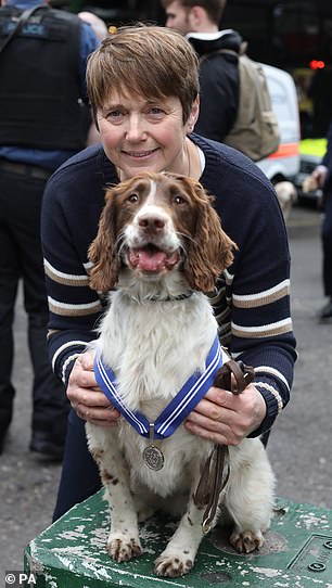 恐怖袭击里,7只警犬冷静战斗毫不畏惧,被授予官佐勋章