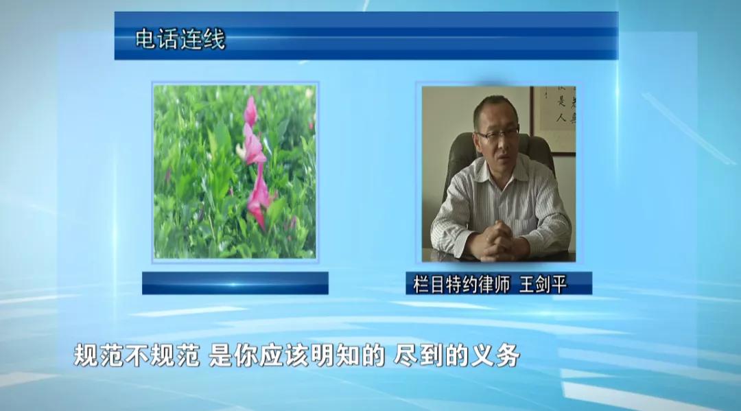 邯城百家帮,邯郸邯城百家帮