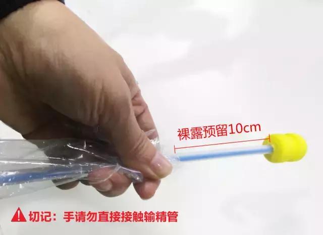 母猪深部输精一天输精几次为最佳,深部输精技术教学