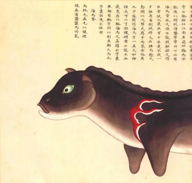 清代海错图有用吗,故宫海错图展