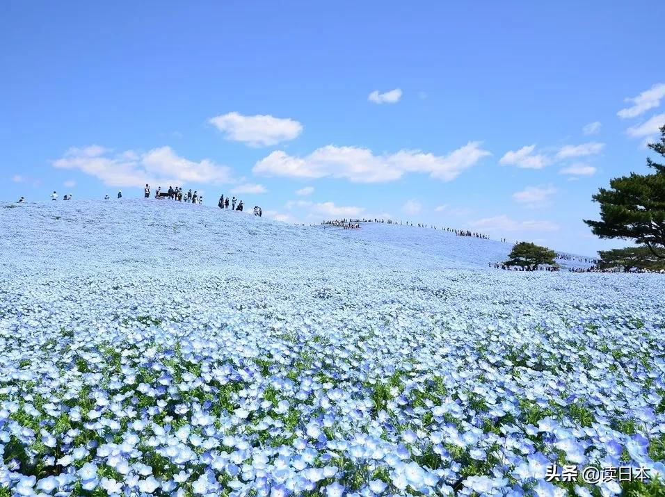 日本最美城市排行榜,东京最有魅力城市排名