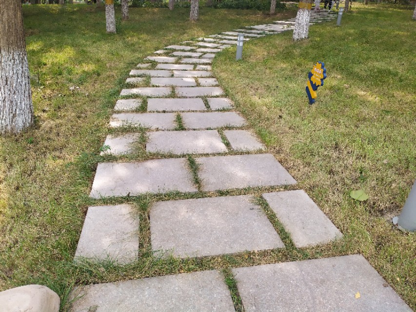 东环公园冬季图片,东环公园景点的介绍