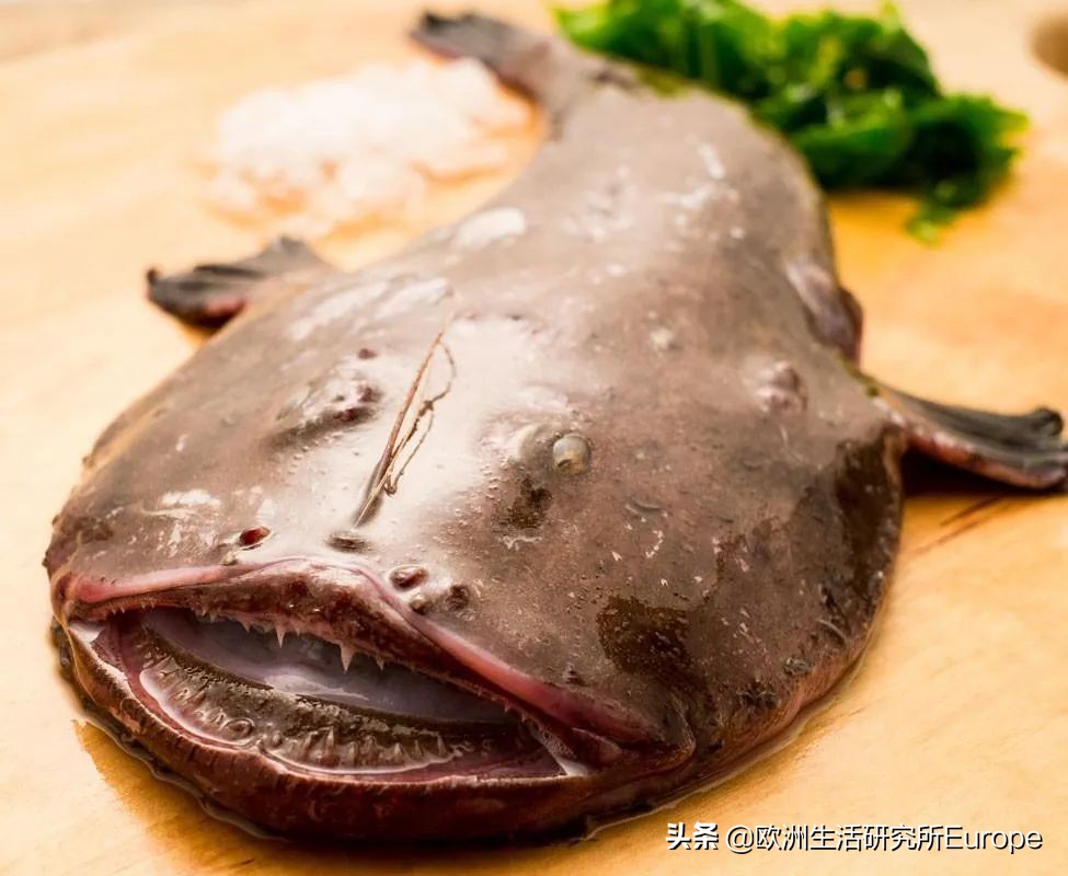 西班牙超市最全的鱼类挑选指南！据说这种山寨鱼对人体大大有害？