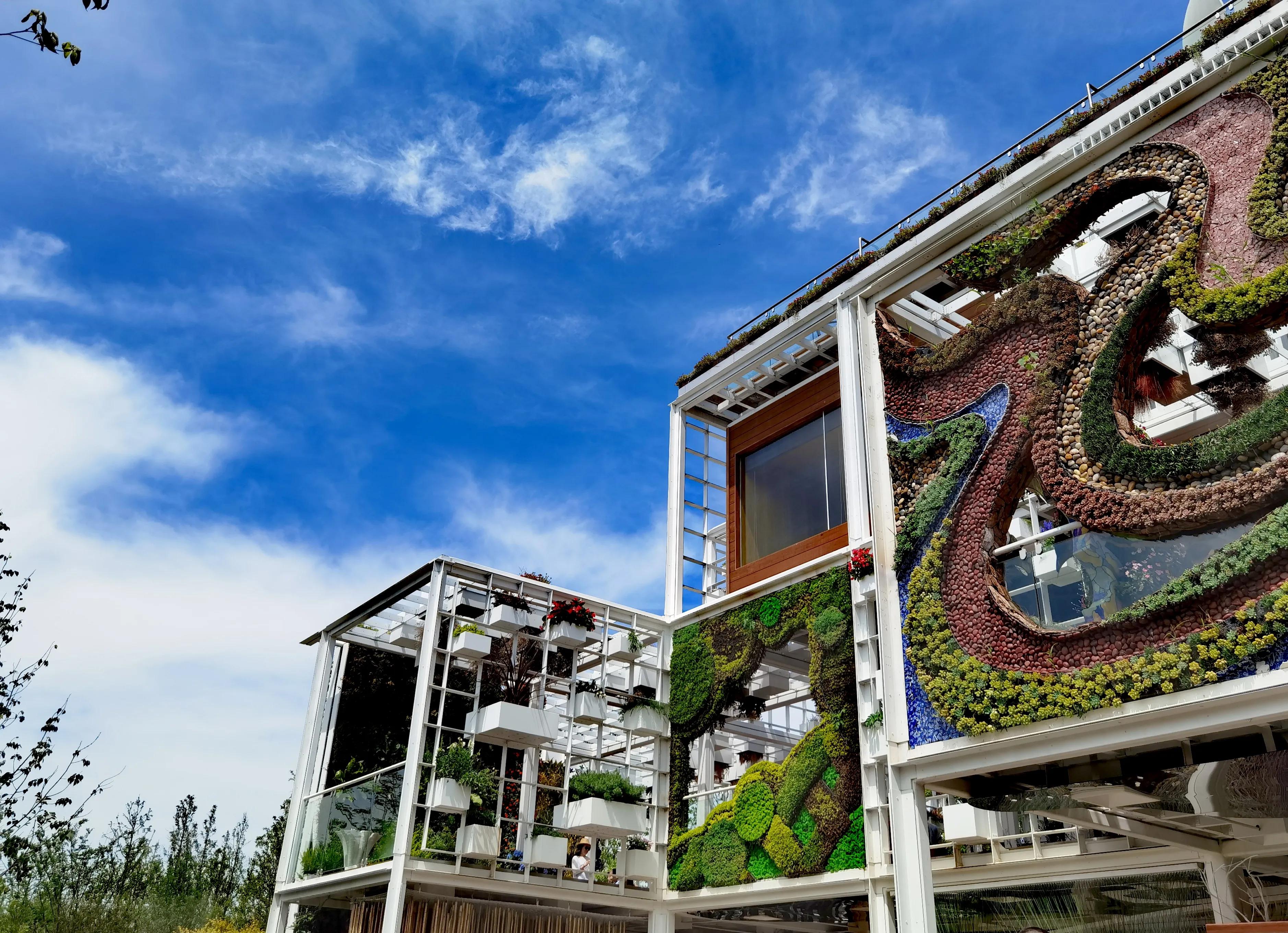 关于崇明花博会,崇明花博会全程花景