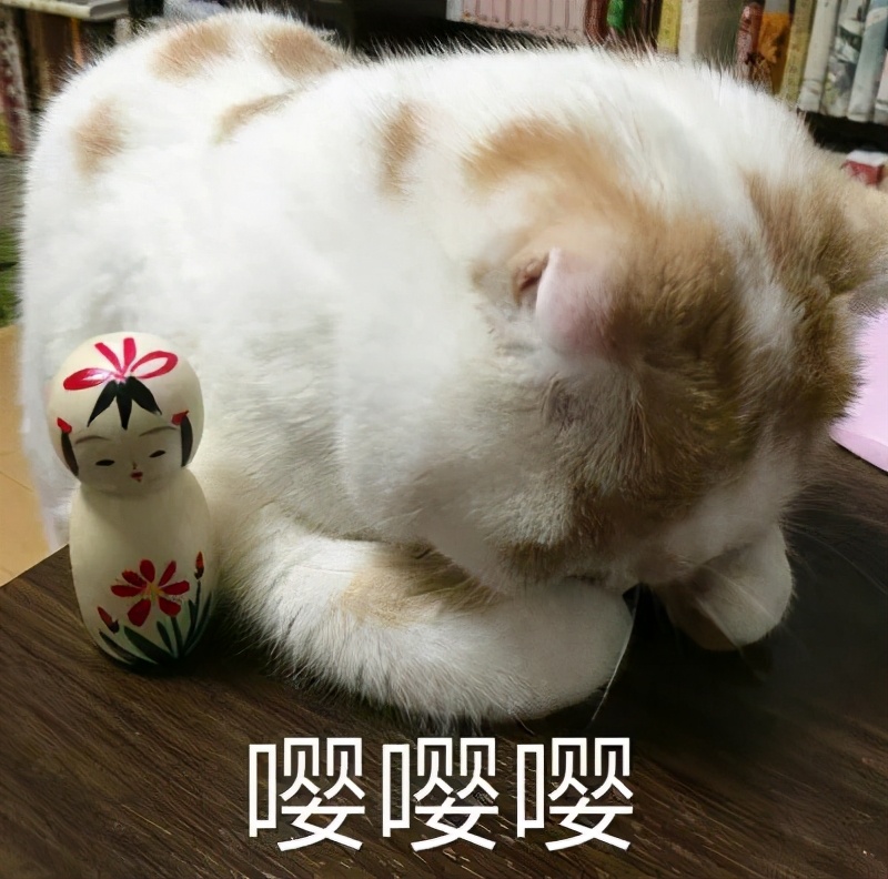 雅思全球数据报告,全球雅思考生分数分析