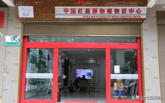 “云南科技扶贫百名县长直播”泸西：春风十里，不如在这里遇见你