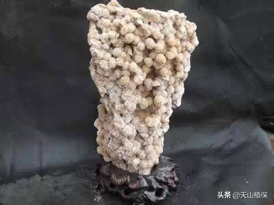 *疆新**石头知多少，请来围观