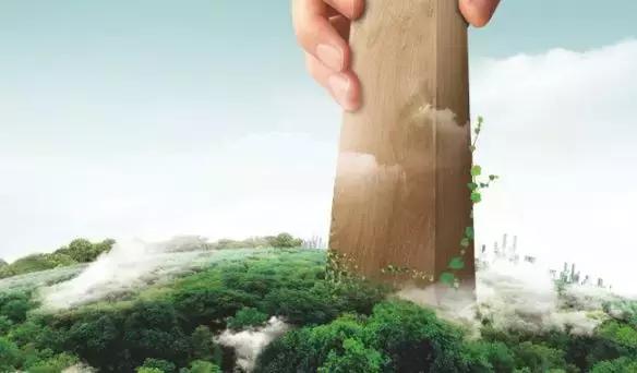 大王椰板材与莫干山哪个比较好,大王椰莫干山兔宝宝哪个性价比高