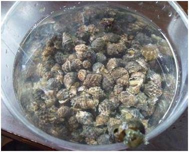 看图识海鲜，这些水产海鲜你都认识吗？