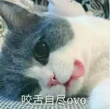 2019拿到驾驶证,2019拿到了驾照