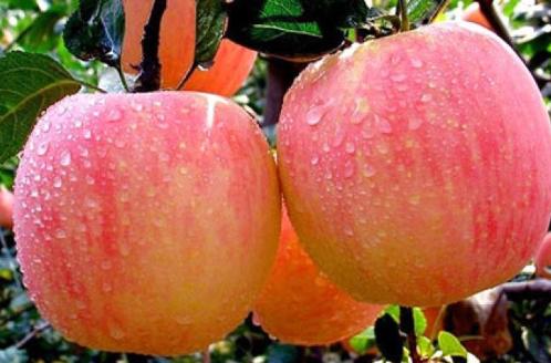 心理测试测老天是否眷顾你,测你最炫酷的心理测试