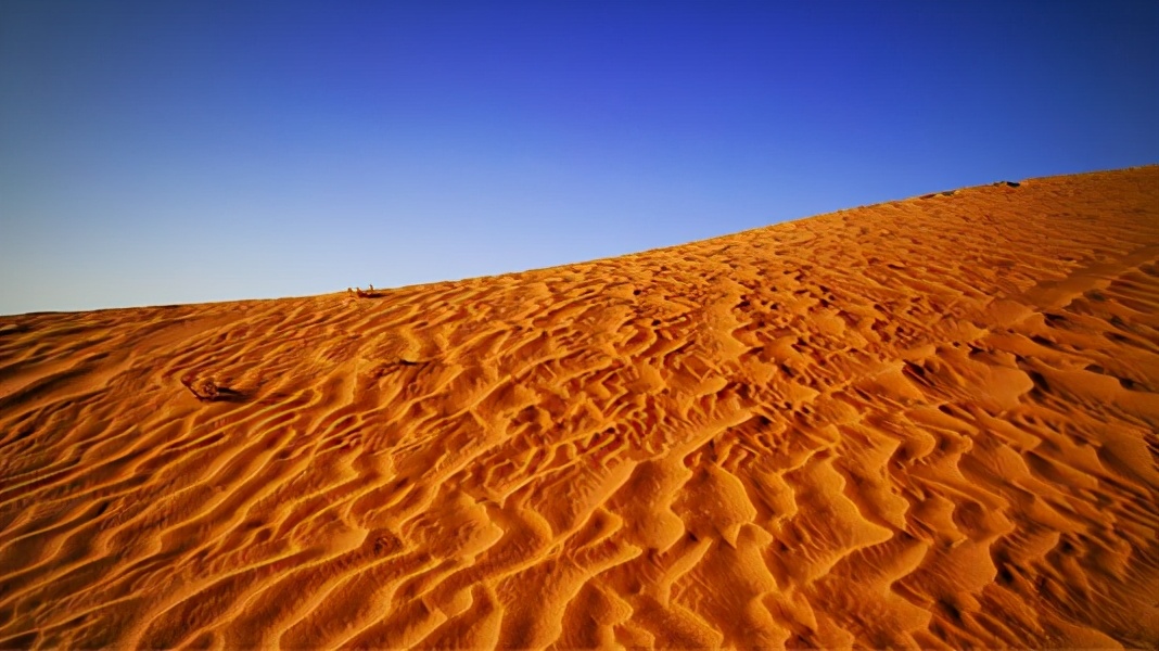 “割礼”惨无人寰的陋习，*害迫**着女性身体，震撼人心《沙漠之花》