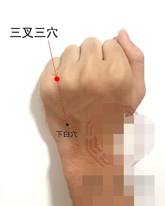 耳朵经常嗡嗡响可以中医针灸吗,耳朵乳突炎能针灸治疗治愈吗