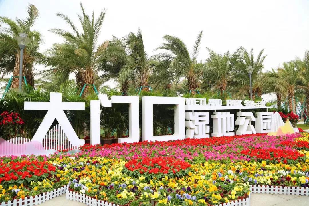 珠海航展周边攻略,珠海航展游玩几小时