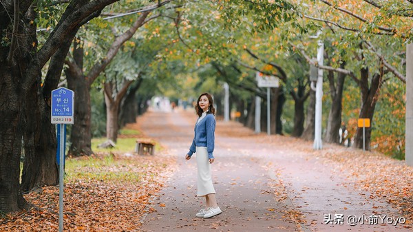 韩国旅游不可错过的景点,韩国不能错过的3部电影